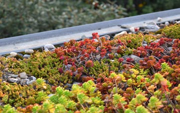 the cost of Warley Town green roof installation